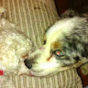 Meet your Posher, Edward